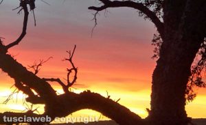Tramonto