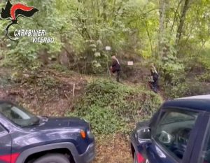 Ischia di Castro - Carabinieri - Droga nel bosco
