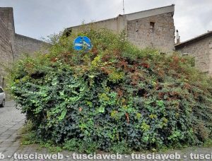 Viterbo - Il cartello a via Sant'Andrea