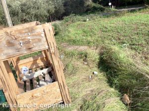 Vitorchiano - Rifiuti sparsi in via Ortana