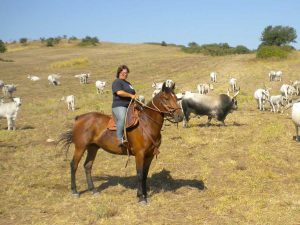 Università agraria Civitella Cesi