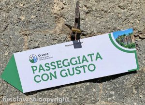 Orvieto - "Passeggiata con gusto"
