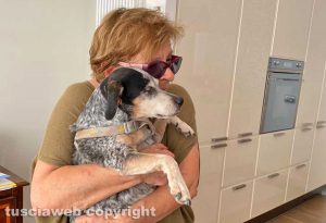 Il ritrovamento della cagnolina Nina