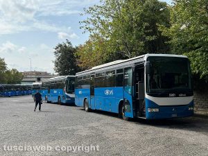 Viterbo - Bus Cotral