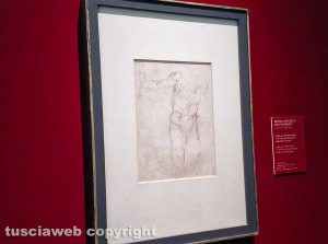 Viterbo - La mostra "Michelngelo e la cappella Sistina. I disegni di casa Buonarroti in dialogo con Sebastiano del Piombo"