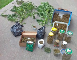Carabinieri - Bagnaia - La droga sequestrata