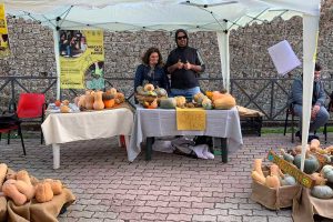 Torna il "Mercato delle zucche"