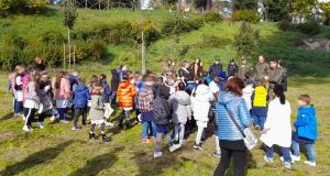 Acquapendente - La festa degli alberi