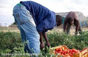 Braccianti agricoli - Immagine di repertorio