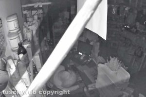 Viterbo - Il ladro ripreso da una telecamera