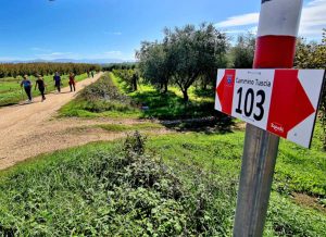 Una segnaletica dei sentieri Cai