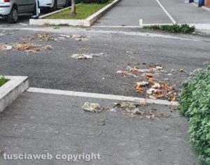 Viterbo - Immondizia in via Genova