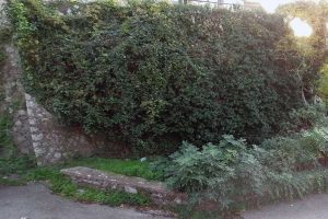 Montefiascone - Incuria nelle vie cittadine
