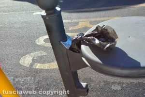 Bisogni dei cani alla fermata dell'autobus in via Raffaello