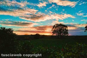 Tramonto in campagna