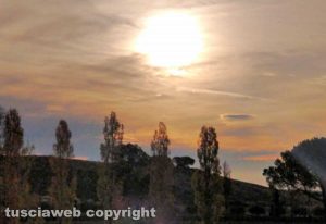 Alba