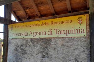 Tarquinia - L'Università agraria