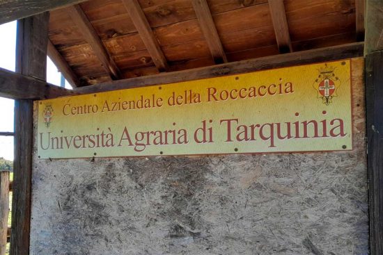 Tarquinia - L'Università agraria