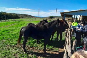 Tarquinia - L'Università agraria