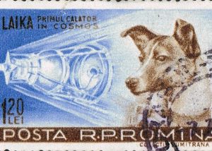 Laika - Un francobollo commemorativo