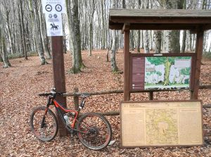 La sentieristica nel parco naturale Bracciano-Martignano
