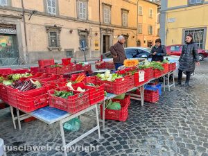Viterbo - Il mercato di San Faustino