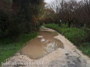 Vignanello - Strada Pontone delle Monache