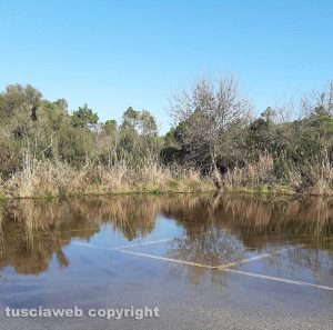 Grosseto - Parcheggio allagato a Principina mare