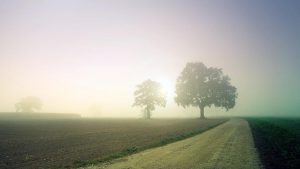 Nebbia