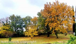 I colori dell'autunno