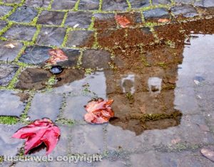 Riflessi in una pozzanghera