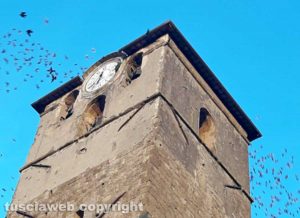 Viterbo - Il campanile a San Sisto