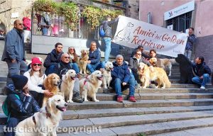 Viterbo - La passeggiata di Natale di 'Amici Golden