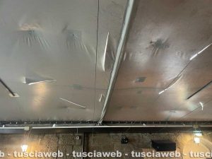 Viterbo - Atti vandalici al D club