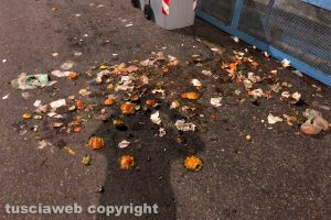 Viterbo - Il passaggio dei cinghiali in via Genova