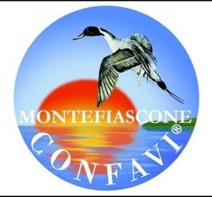 Montefiascone - Confavi