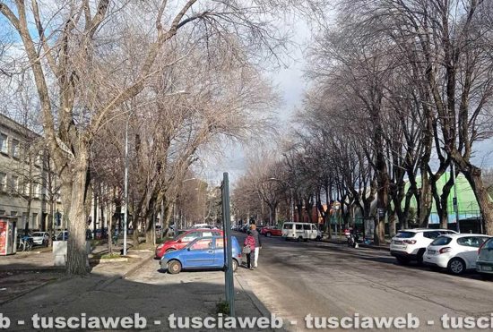 Viale Trento - Immagine di repertorio