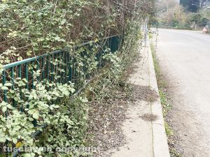 Viterbo - Rovi lungo il marciapiede per accedere alla Palanzana