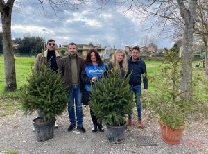 Civita Castellana - Fare verde raccoglie gli alberi di Natale da ripiantare