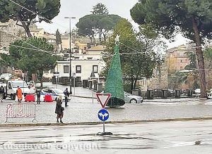 Viterbo - Albero di Natale pericolante al Sacrario