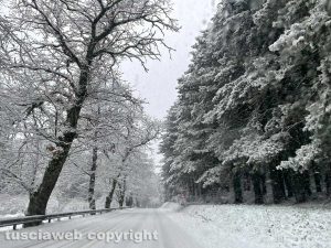 Viterbo - Neve sulla Cimina