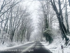 Neve sulla Cimina