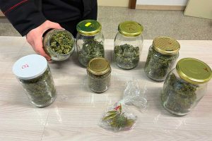 Bomarzo - La marijuana sequestrata dai carabinieri
