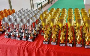 Sport - Pattinaggio - Trofeo interregionale Acsi