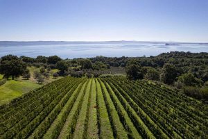 Gradoli - Villa Caviciana