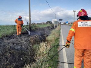 Incendio bordo strada a Riva dei Tarquini