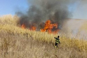 Tarquinia - Sterpaglie in fiamme