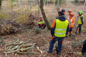 Viterbo - Il corso per la qualifica di operatore forestale di Cna sostenibile