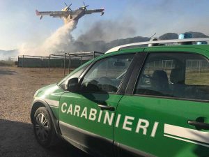 Carabinieri forestali