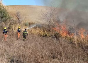 Incendio di sterpaglie a Tarquinia